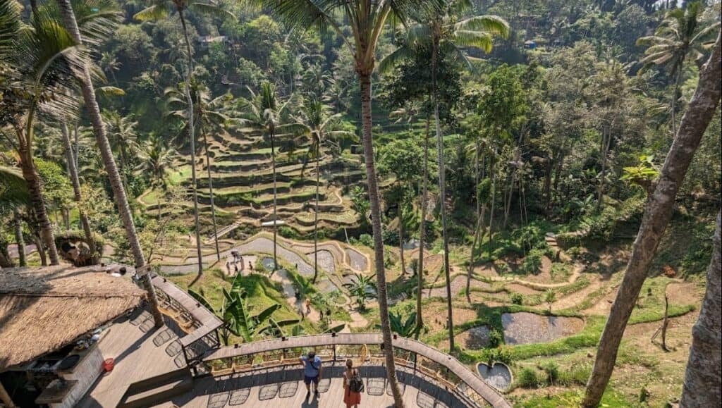 Tegallalang Rice Terrace