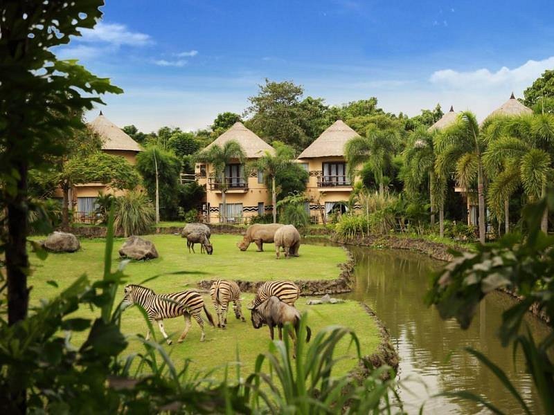 Bali Safari and Marine Park